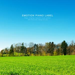 Album Beautiful freedom to meet on the way home (Sensible New Age Piano Collection) oleh Roa