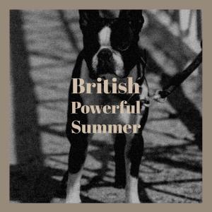 ดาวน์โหลดและฟังเพลง Saddlebag Adventure พร้อมเนื้อเพลงจาก Tebby Muca