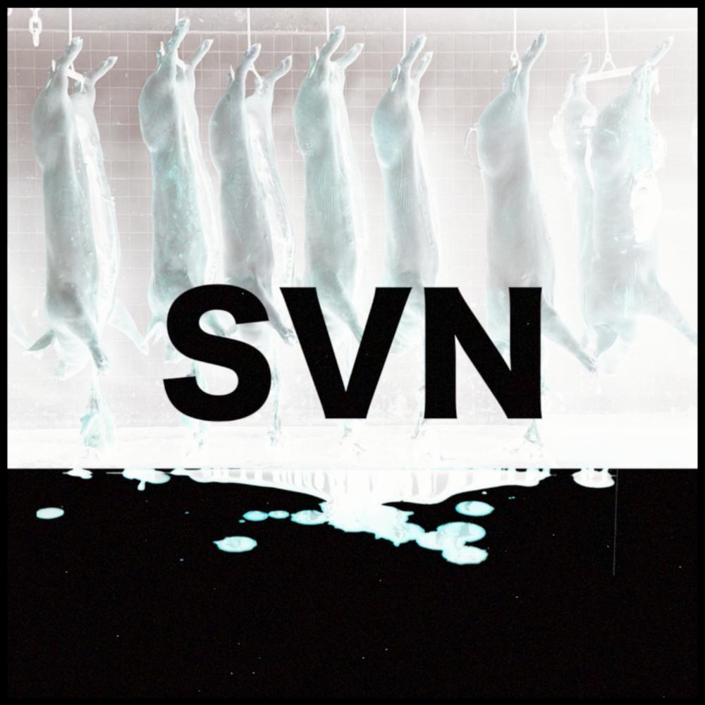 SVN (Explicit)