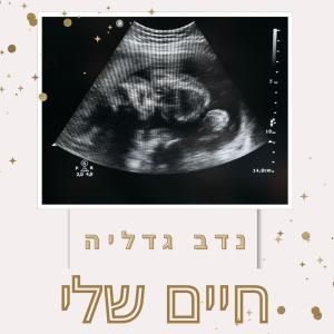 נדב גדליה的專輯חיים שלי | my life (Explicit)
