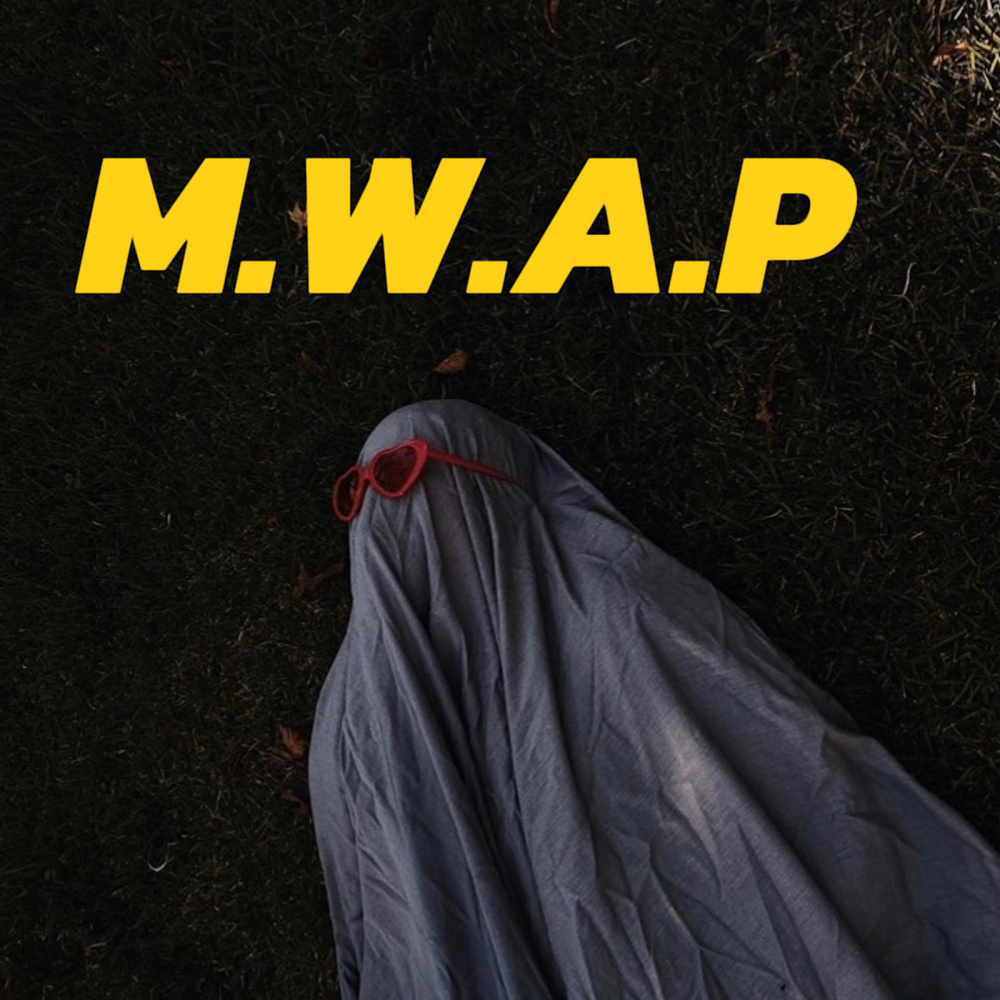 Man With a Plan (M.W.a.P)