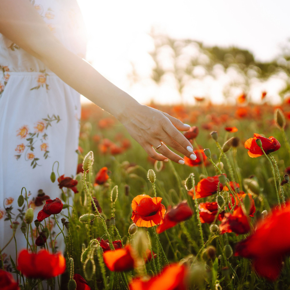 Blissful Nature's Poetry Blossoms
