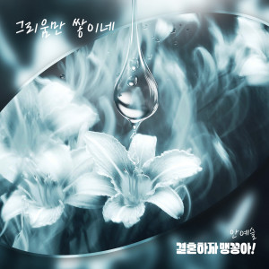 อัลบัม 결혼하자 맹꽁아! OST Part.15 ศิลปิน 안예슬