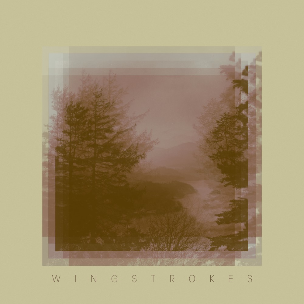 Wingstrokes