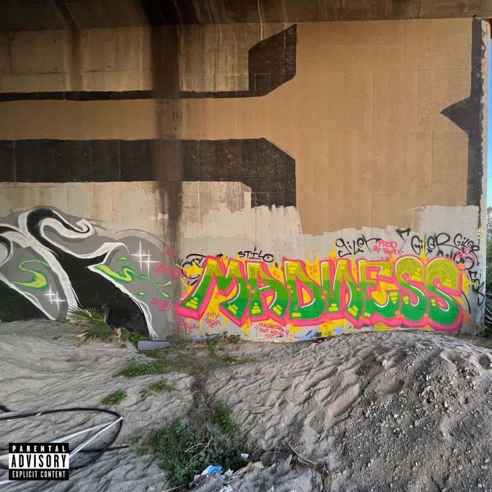 Madness (Explicit)