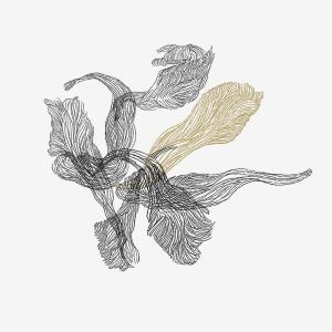 Listen to 인연 (feat. 강현준) song with lyrics from 정연승