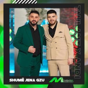 ดาวน์โหลดและฟังเพลง Shumë jena gzu พร้อมเนื้อเพลงจาก Taulant Bajraliu