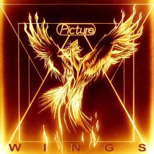 收聽Picture的Wings歌詞歌曲