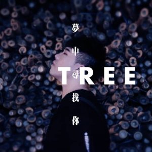 Listen to Dreaming You song with lyrics from 胡深T.R.E.E.