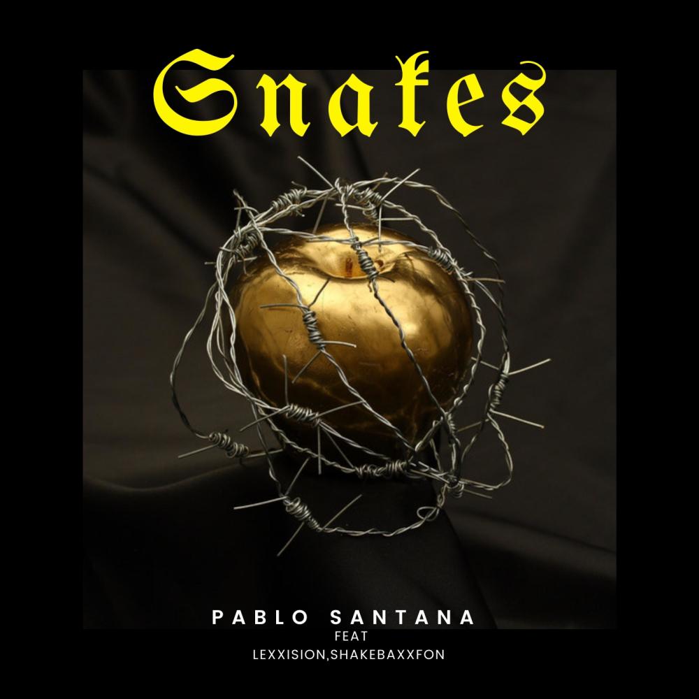 Snakes (feat. Lexxision & ShakebaxxFon) (Explicit)