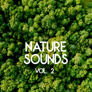 อัลบัม Nature Sounds - Sleep and Relaxation, Vol. 2 (Loopable) ศิลปิน Nature Sounds Sleep Music Baby Sleep