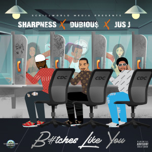 Sharpness的專輯Bitches Like You (Explicit)