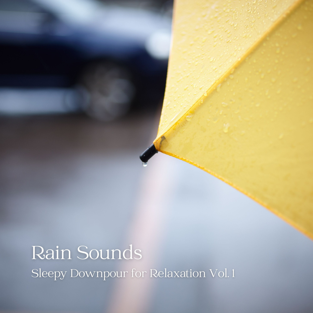 Rain Sound Great for Study and Focus