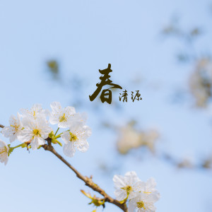 Listen to 春 song with lyrics from 清源
