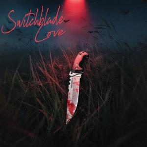 อัลบัม switchblade love ศิลปิน DJm