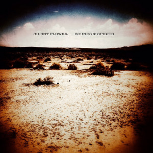 Listen to Time (feat. Alice Wonder) song with lyrics from Silent Flower
