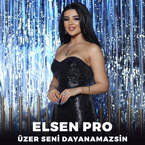 Album Üzer Seni Dayanamazsın from Elsen Pro