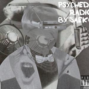 ดาวน์โหลดและฟังเพลง Talk About The Game (Explicit) พร้อมเนื้อเพลงจาก saekool