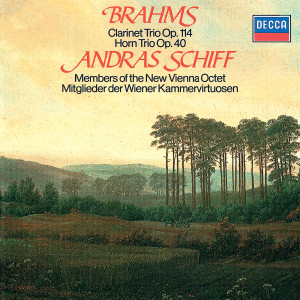 Peter Schmidl的專輯Brahms: Clarinet Trio; Horn Trio