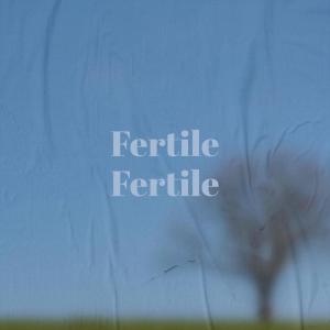 Listen to This Victory song with lyrics from Amelie Deben