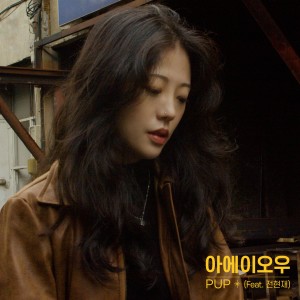 Album ai ei ui ao ou (Feat. Jeon Hyun Jae) from PUP