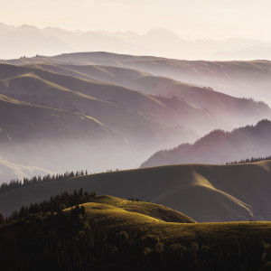 Listen to Maple Leaf song with lyrics from Nature Sounds