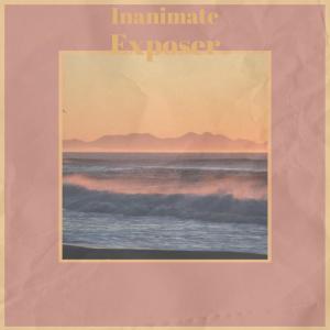Album Inanimate Exposer from Various