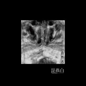 ดาวน์โหลดและฟังเพลง 这种方式 พร้อมเนื้อเพลงจาก 昆虫白