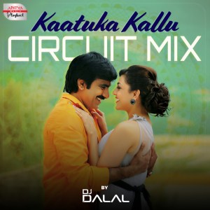 Chinna Ponnu的專輯Kaatuka Kallu Circuit Mix (From "Sarocharu")