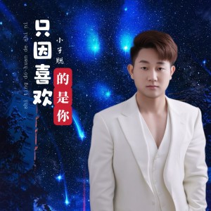 Listen to 只因喜欢的是你 (完整版) song with lyrics from 小子聪
