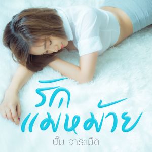 收听ปั้ม จาระเม็ด的รักแม่หม้าย歌词歌曲