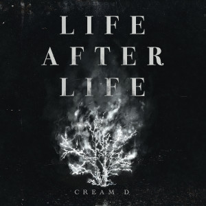อัลบัม LIFE AFTER LIFE (Explicit) ศิลปิน Cream D