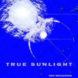 The Meadows的專輯True Sunlight