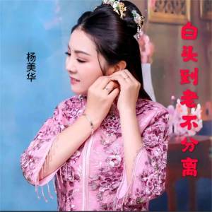 收聽楊美華的白頭到老不分離歌詞歌曲