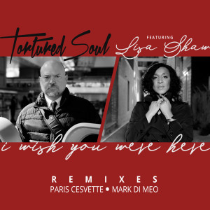 收听Tortured Soul的I Wish You Were Here (Paris Cesvette Remix Radio Edit)歌词歌曲