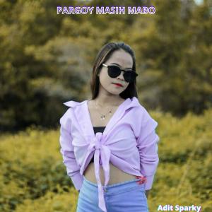 Adit Sparky的專輯Pargoy Masih Mabo