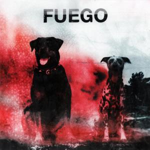 Listen to FUEGO (Explicit) song with lyrics from D4vid Lee