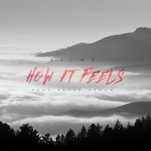 Listen to How it Feels(feat. Peter Schaw) song with lyrics from Slinz