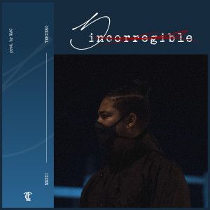 Dengarkan Incorregible (Explicit) lagu dari Terxero dengan lirik