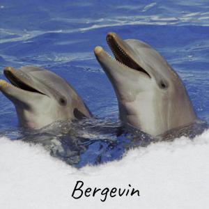 Album Bergevin from 