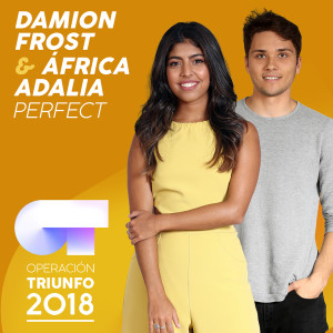 Damion Frost的專輯Perfect
