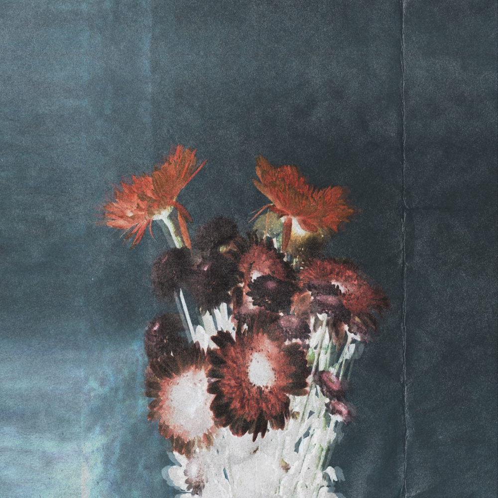 Sorrow #2