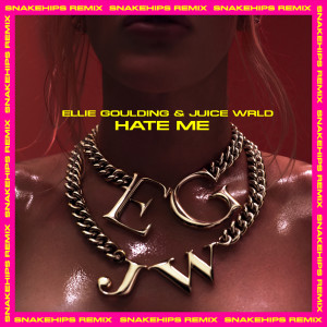 ดาวน์โหลดและฟังเพลง Hate Me (Snakehips Remix) พร้อมเนื้อเพลงจาก Ellie Goulding