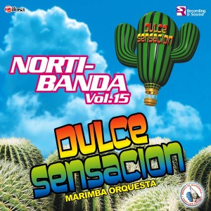 ดาวน์โหลดและฟังเพลง Nortibanda: Ándale / Ya Lo Sé Que Tú Te Vas / Y Llegaste Tú / Lágrimas de Cristal พร้อมเนื้อเพลงจาก Marimba Orquesta Dulce Sensacion