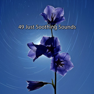 Dengarkan Just Relax lagu dari Serenity Spa Music Relaxation dengan lirik