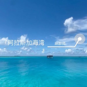 收聽麻醉師的阿拉斯加海灣 (cover: 菲道爾) (完整版)歌詞歌曲
