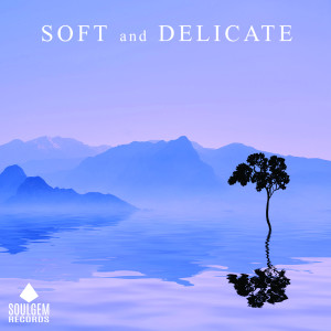 Album Soft and Delicate oleh Various Artists