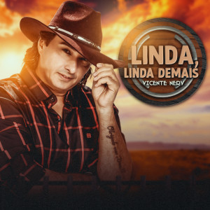 收听Vicente Nery的Linda, Linda Demais歌词歌曲