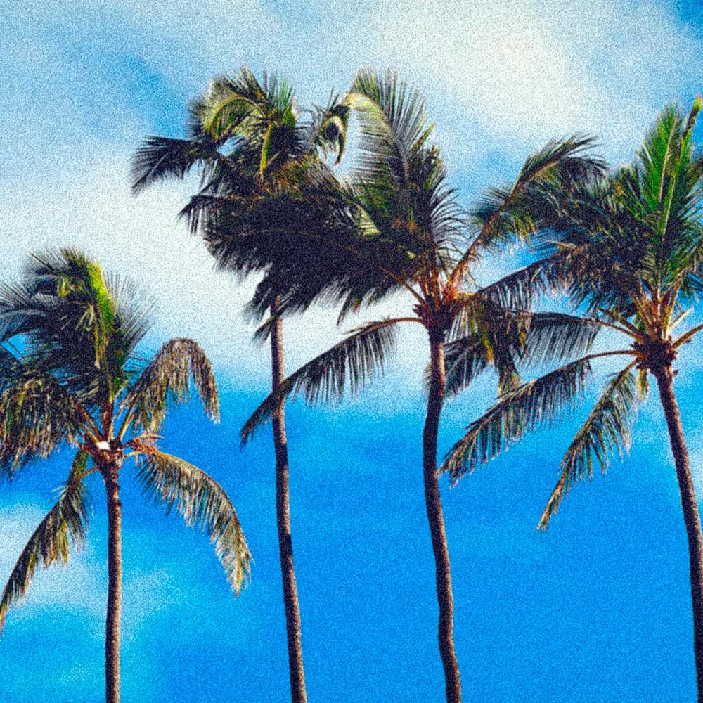 38°C(feat. Jaime J.R)