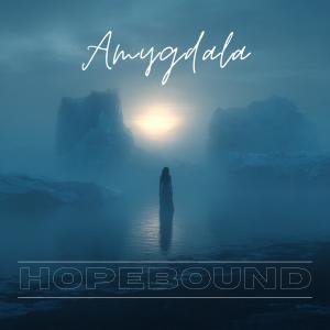 Amygdala的專輯Hopebound